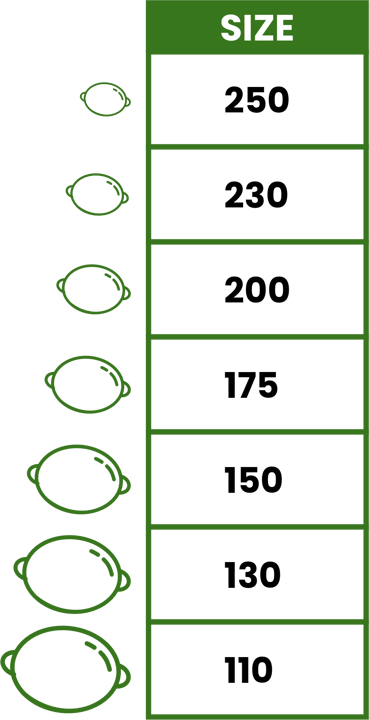 XP_lime_sizes