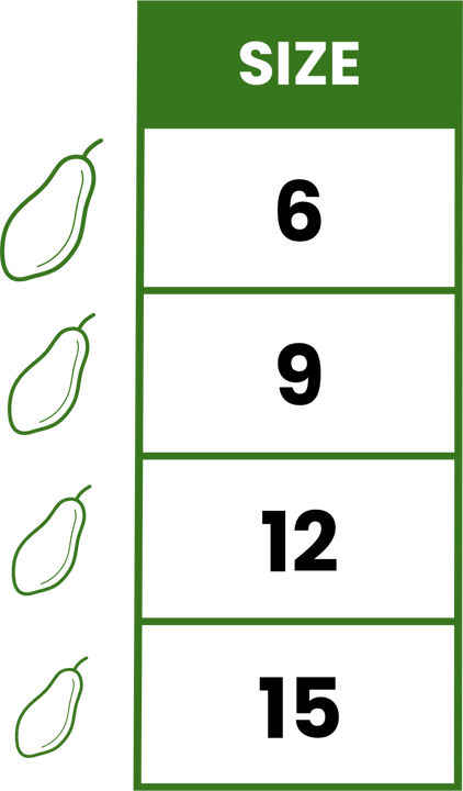 XP_papaya_sizes